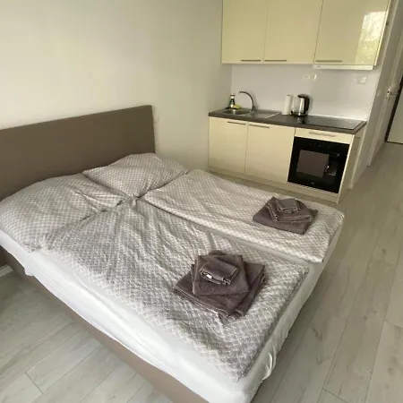 1 With Terrace, Slnecnice Appartement