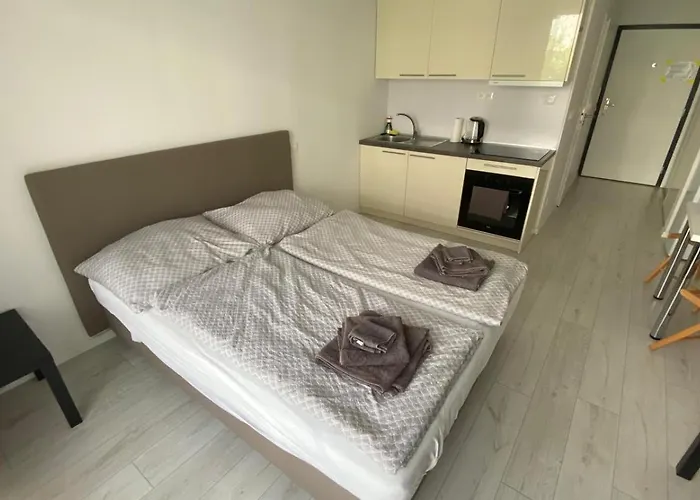 1 With Terrace, Slnecnice Apartment